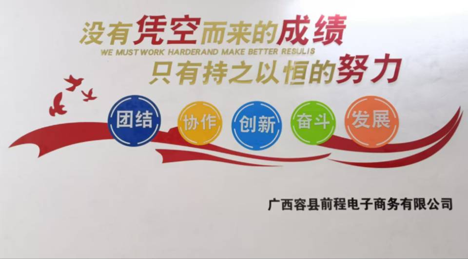 广西容县前程电子商务有限公司